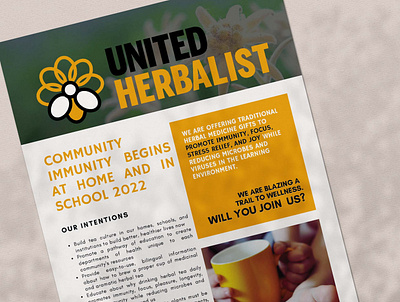 Newsletter Design for United Herbalist flyer graphic design herbalism newsletter