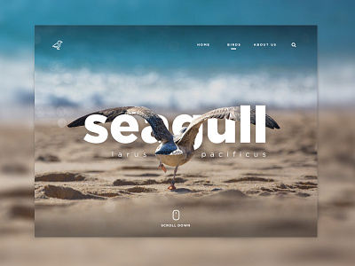 UI - Landing Page animals beach birds landing page sand sea seagull ui ux