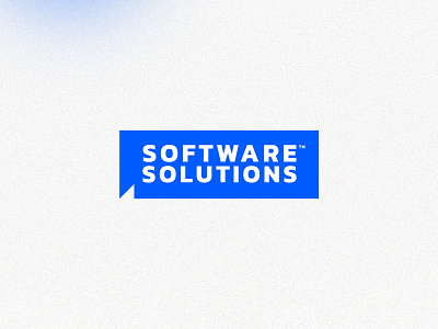 Teneo Software Solutions Brand Identity