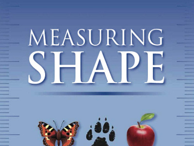 (BOOKS)-Measuring Shape app book books branding design download ebook illustration logo ui