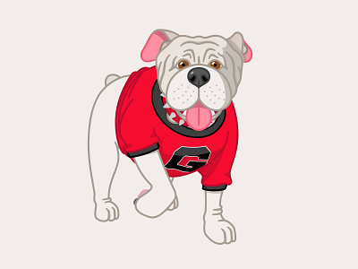 Bulldog Dribbble bulldog design football georgia illustration mascot new vector