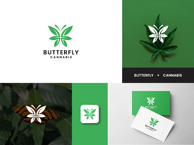 Butterfly + Cannabis leaf logo concept.. branding graphic design logo