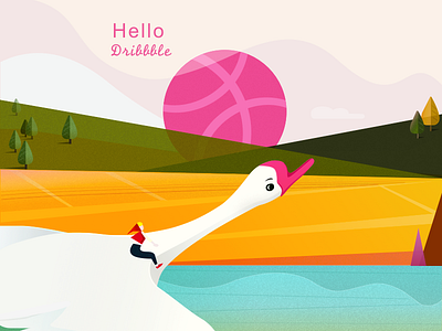 HELLO Drribbble design dribbble rode geese sketch vector