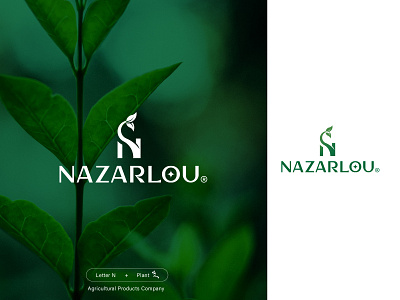 Nazarlou Company Logo Design