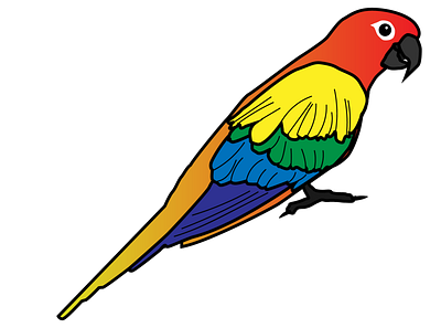 Parrot animal animals children colorful design graphic design illustration parrot
