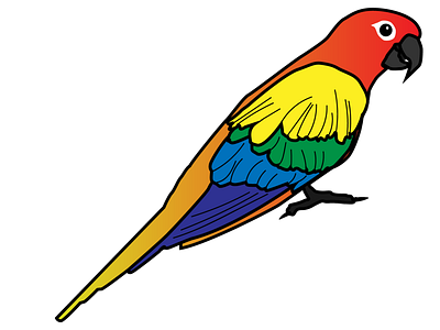 Parrot