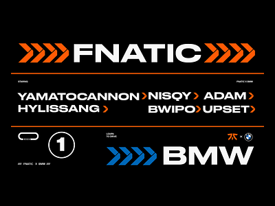 Fnatic x BMW - Learn to Drive bmw