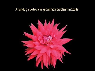(DOWNLOAD)-Troubleshooting Xcode app book books branding design download ebook illustration logo ui