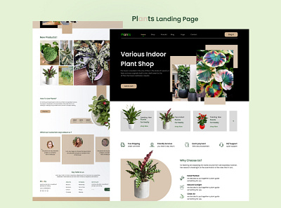 Plants Landing Page app branding design graphic design landing page logo ui ux vector wep