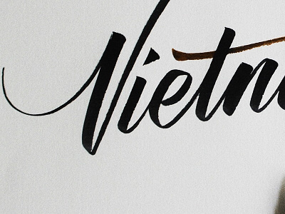 Vietnamse by Trí Shiba calligraphy typography