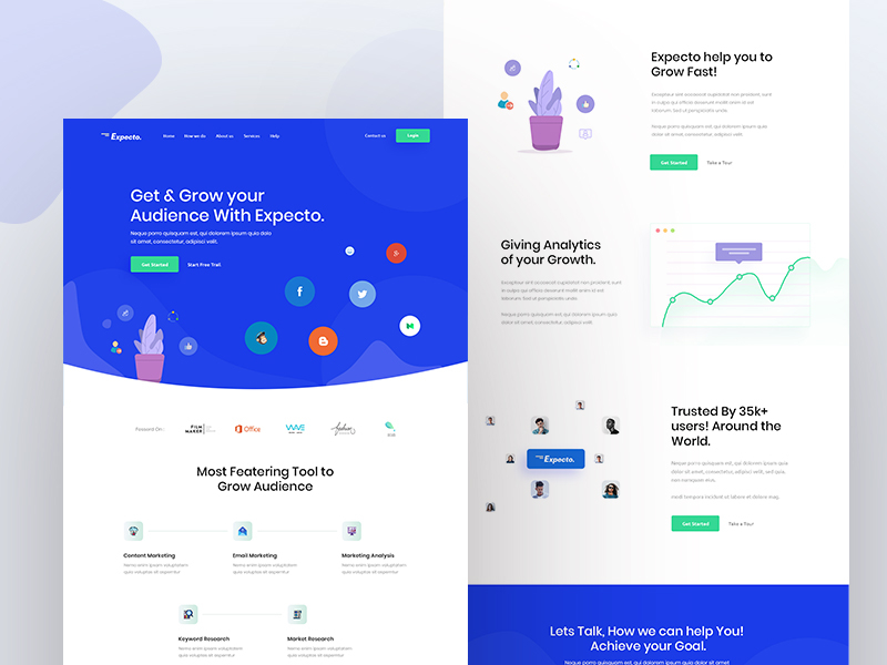 Expecto v2 Web Exploration by Mehedi Hasan Roni on Dribbble