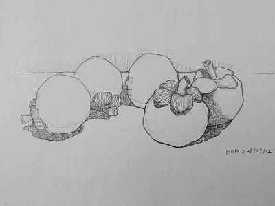 山竹的表达式－素描 素描 绘画