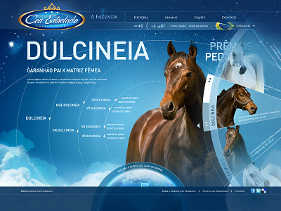 Haras Céu Estrelado Horse Pedigree horse landing page pedigree ui ux uiux uiuxdesign webdesig webdesign