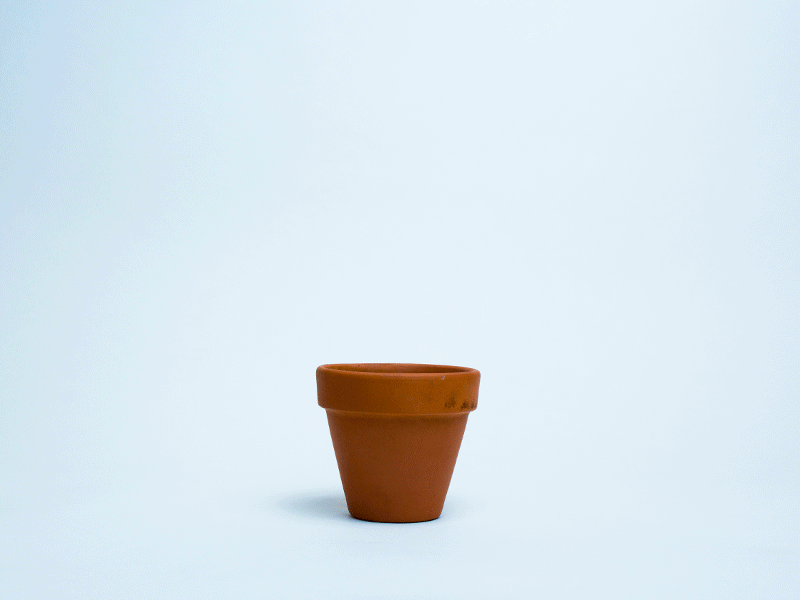 Growth coming soon web animation design illustration
