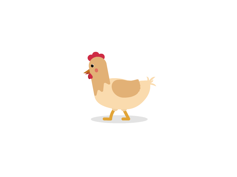 Chicken 2d animation animation bird chicken animation motion graphics