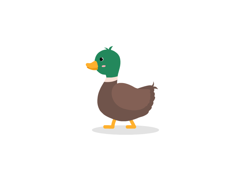 Duck 2d animation animation bird duck animation flat art illustration walking duck