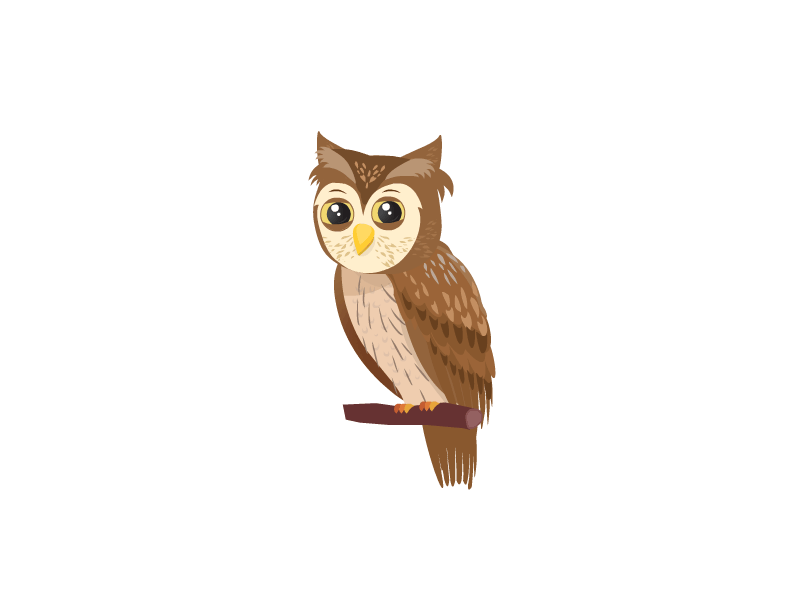 Owl 2d animation bird flat art illustration owl animation