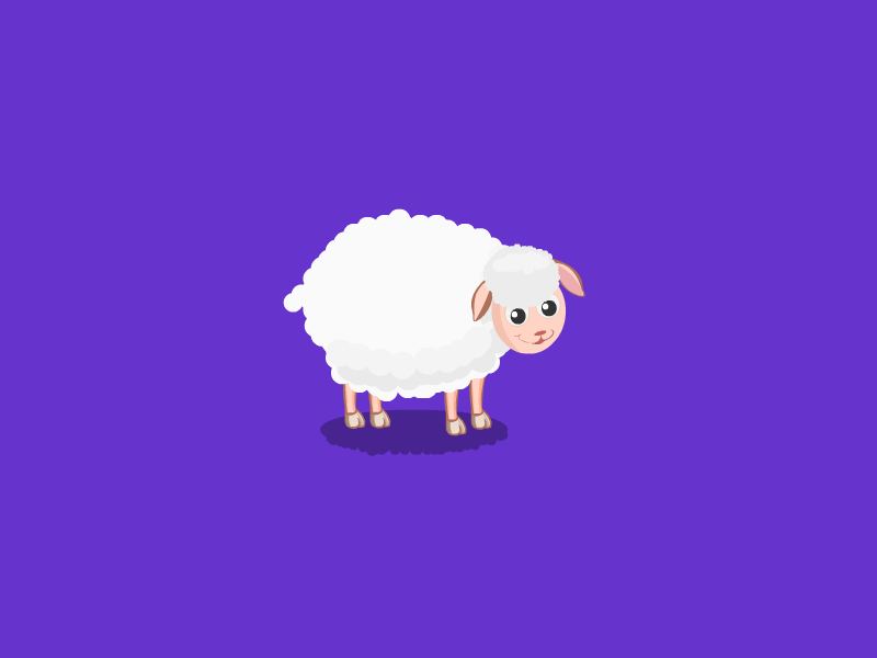 Cute Sheep 2d animation animation colors flat art illustration vector