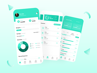 Daily Expense App UI Design