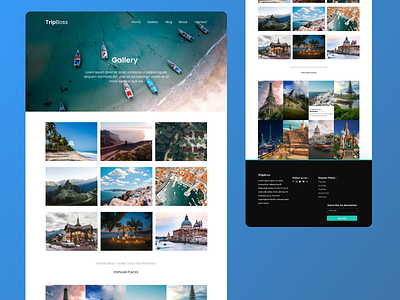 Travel Website Gallery Page Design design destinatins figma design gallery nepal travel ui ux web design