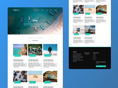 Travel Website Blog Page blog design figma design nepal travel ui ux web design