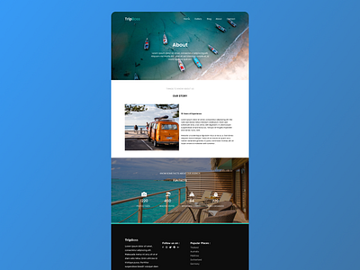 Travel website About Page about design figma design fun facts nepal story travel ui ux web design