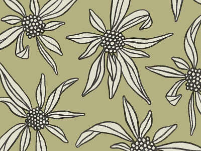 Pattern Preview floral illustration pattern pattern design