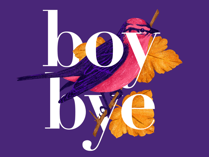 Boy Bye autumn bird gif illustration leaves pink process typography violet