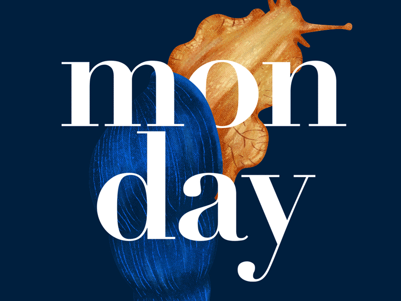 Monday blue didot gif illustration monday orange process shell slime snail