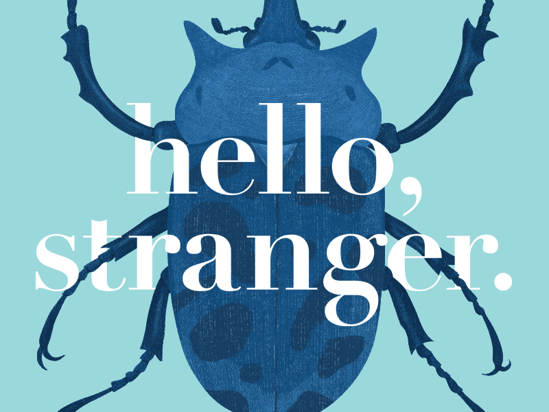 Beetle beetle blue bug gif illustration insect movie nature process quote