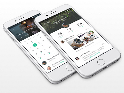 Mobiles app calendar flat interaction profile shots ui ux