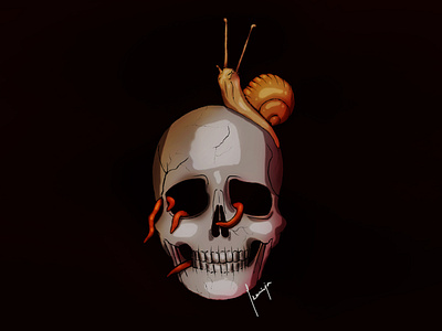 Snail on Skull design graphic design illustration