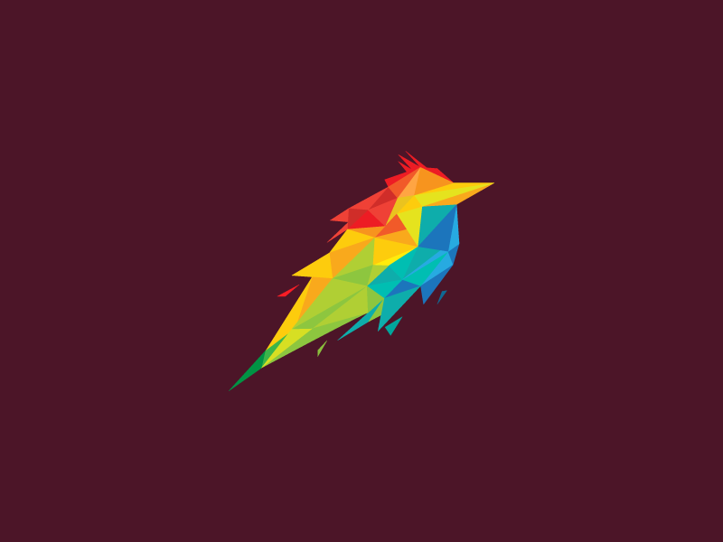 Colorful Low Poly Bird