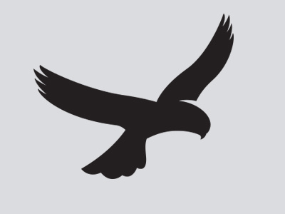 Kestrel branding logo