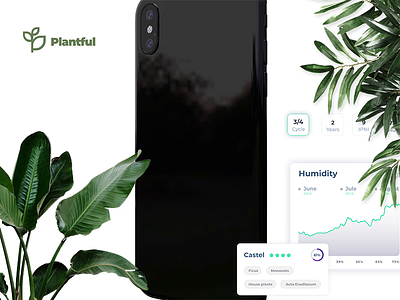 My Plants | Plantful app app card clean creative green minimal mobile app plant ui ux