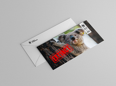 WWF KOALA CAMPAIGN branding creative direction editorial fundraising graphic design print design publication