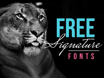 35+ Free Signature Fonts