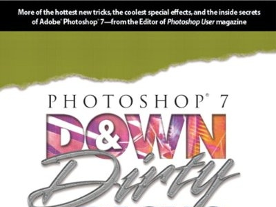 (EBOOK)-Photoshop 7 Down and Dirty Tricks app book books branding design download ebook illustration logo ui