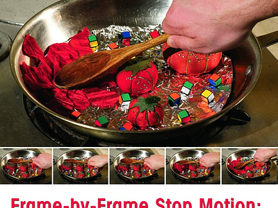 (READ)-Frame-By-Frame Stop Motion: The Guide to Non-Traditional