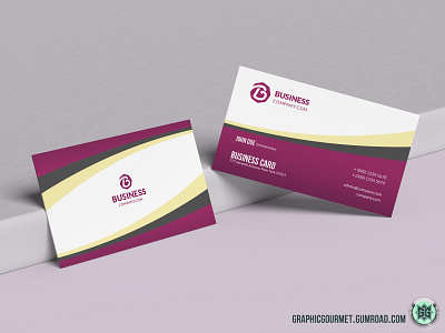 Professional Business Card v02