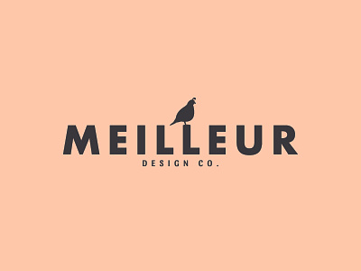 Meilleur Design Co. branding communications company design freelance logo marketing quail type