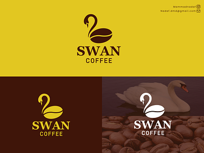 SWAN COFFEE LOGO DESIGN app branding design graphic design illustration logo typography ui ux vector