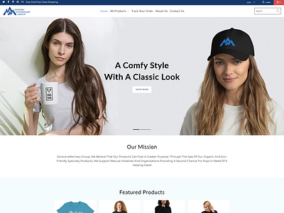 Shopify Store Design