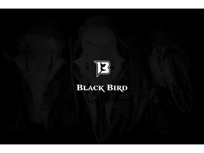 Black Bird 13 brand identity branding design graphic design identity logo logotype vector