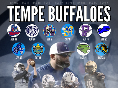 Tempe Buffaloes Football app basketball branding canva design graphic design illustration logo