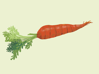 Carrot digital paint digital painting illustration vegetable vegetables