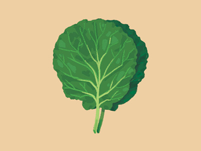 Lettuce alface comida diet digital paint digital painting food illustration lettuce nutrition nutritional nutritionist