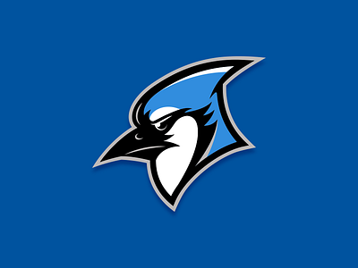 Bluejay beak bird blue bluejay feathers mascot sports