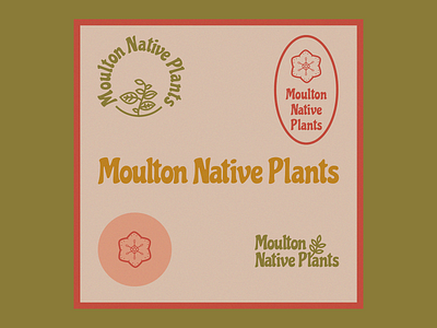 Moulton Native Plants art direction branding design digital design graphic design illustration logo typography