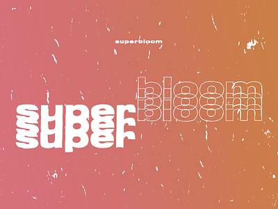 Superbloom band logo bold distressed font graphic design logo iteration logo lockup outline typography